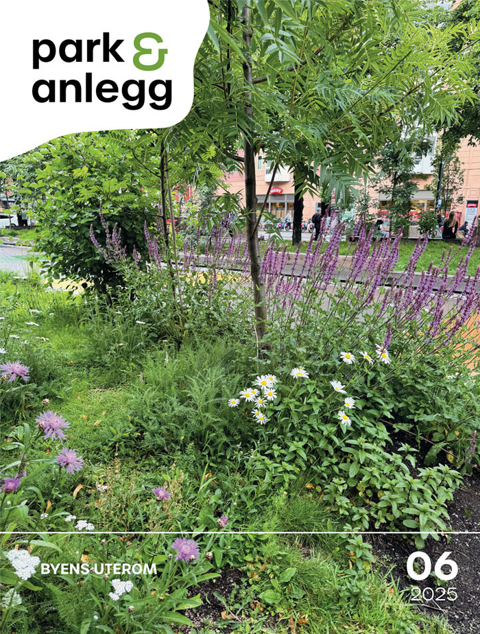 latest-magazine-cover