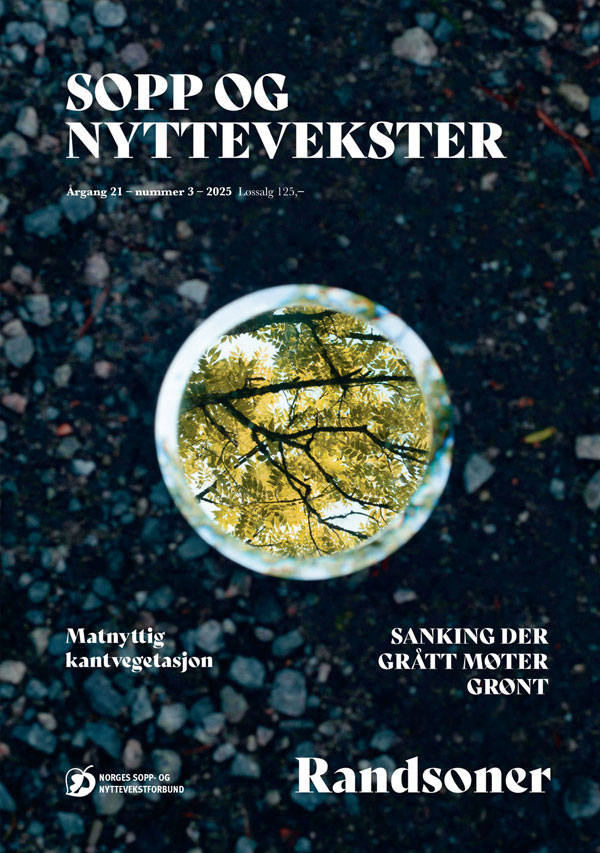 latest-magazine-cover