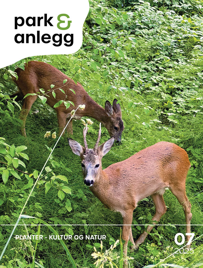 latest-magazine-cover