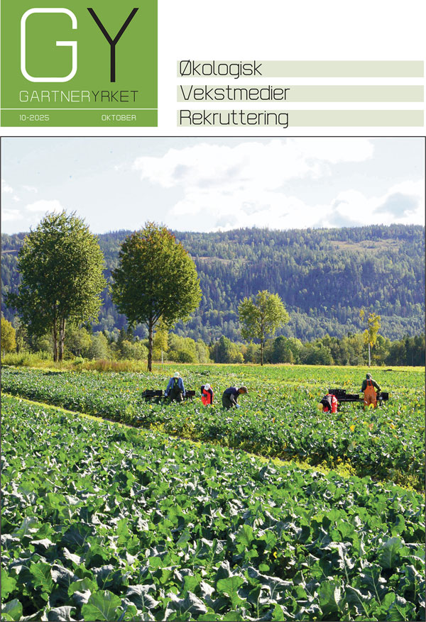 latest-magazine-cover