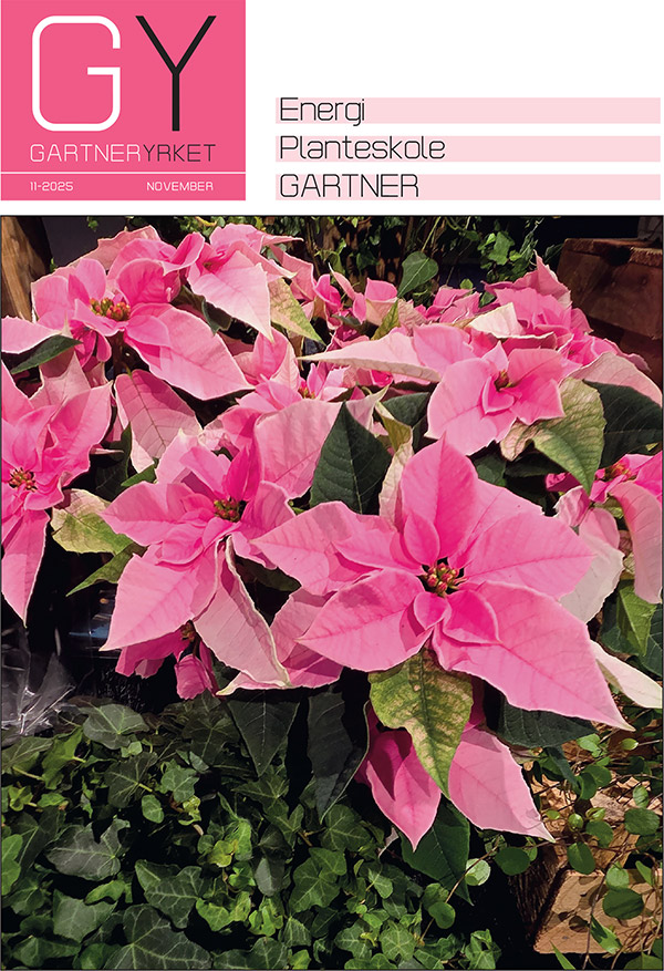 latest-magazine-cover