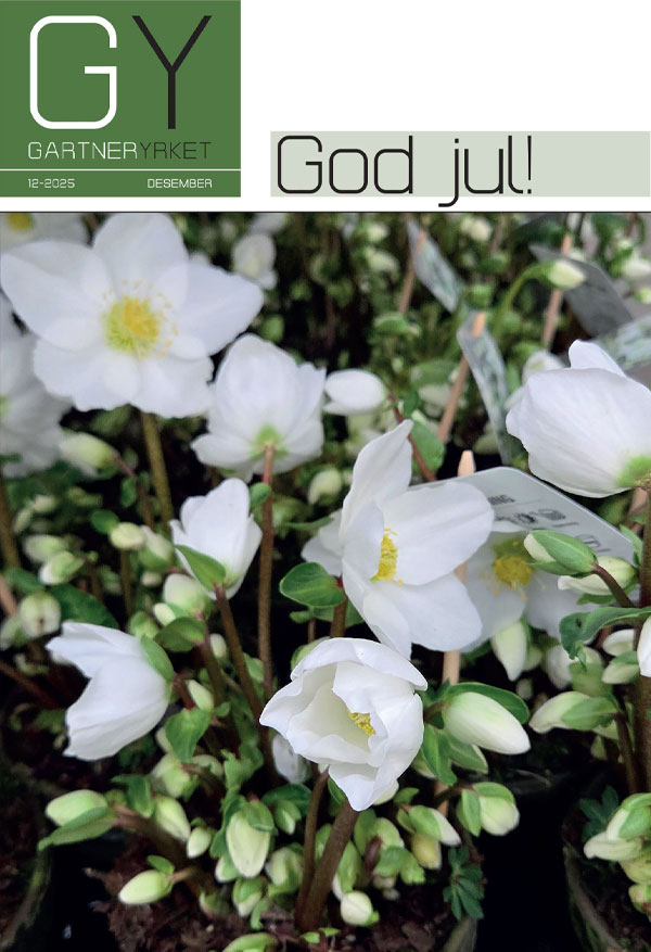 latest-magazine-cover