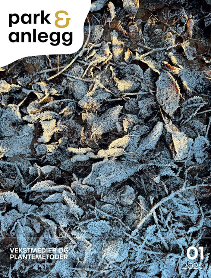 latest-magazine-cover