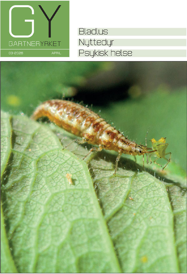 latest-magazine-cover