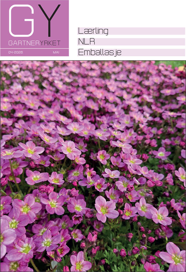 latest-magazine-cover