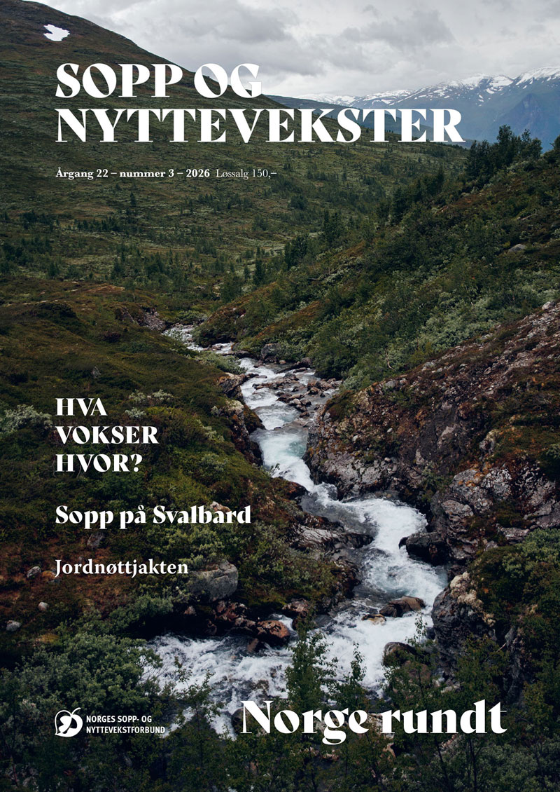 latest-magazine-cover