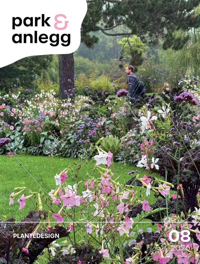 latest-magazine-cover