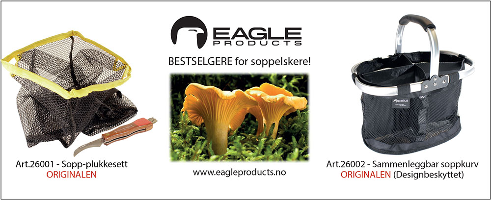 ads5